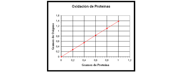 Ensayo en laboratoiro